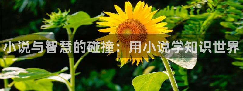 起点小说免费么：小说与智慧的碰撞：用小说学知识世界