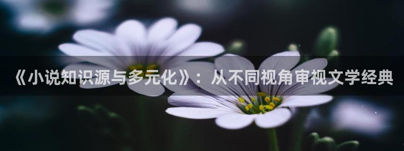 起点下载的小说怎么导出：《小说知识源与多元化》：从不同视角审视文学经典